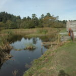 Eureka, CA 2008