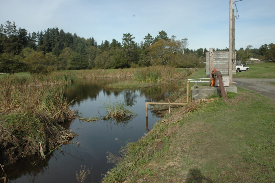 Eureka, CA 2008