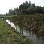 Eureka, CA 2008