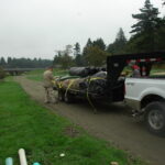 Eureka, CA 2008