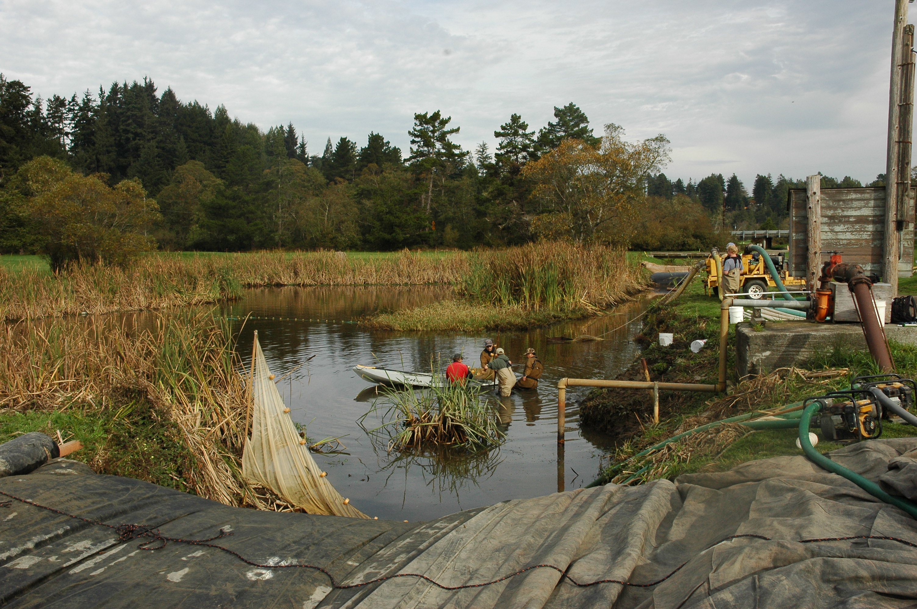 Eureka, CA 2008