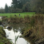 Eureka, CA 2008