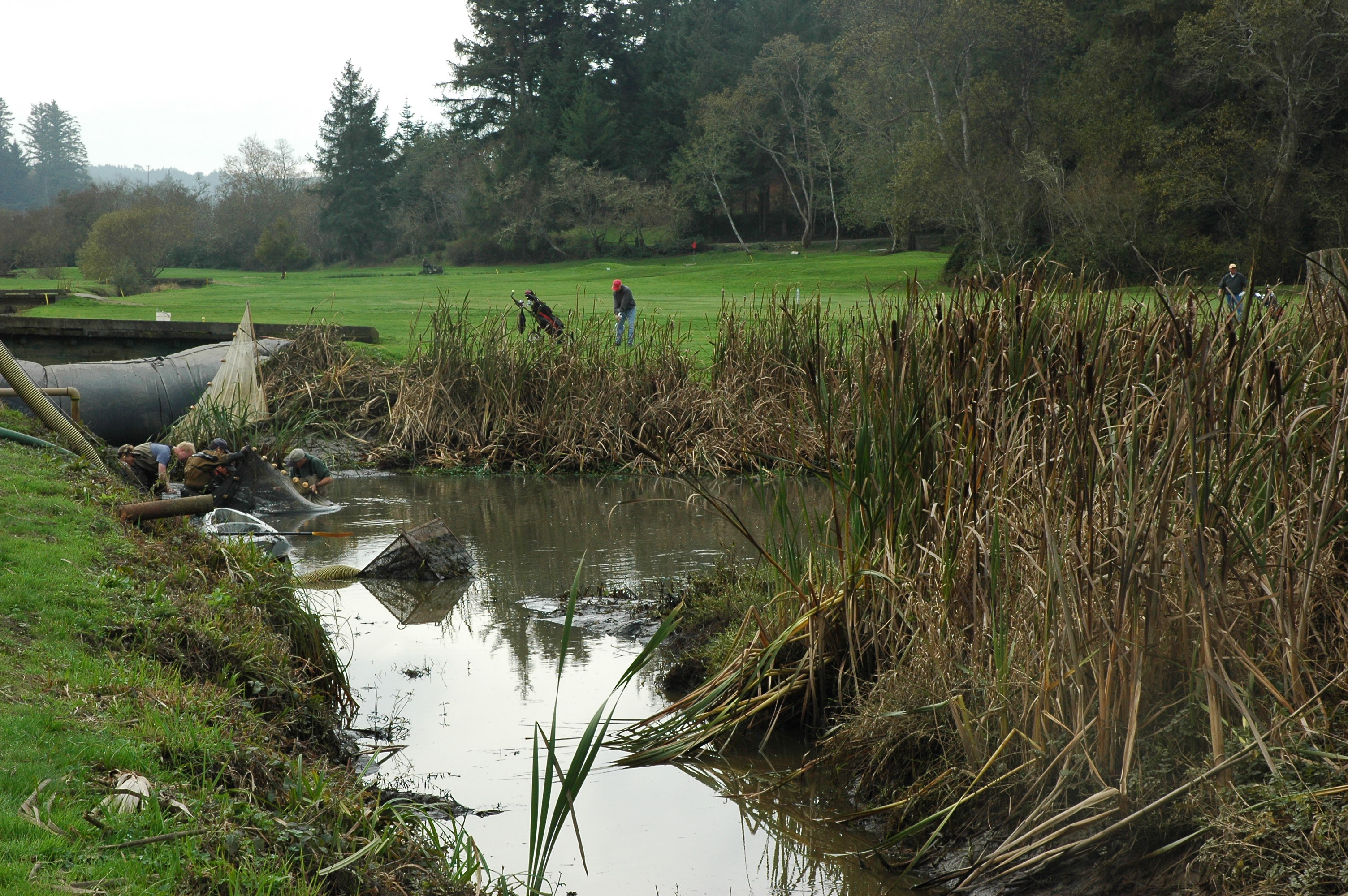 Eureka, CA 2008