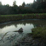 Eureka, CA 2008