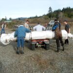 Carlotta, CA 2004 – Levee