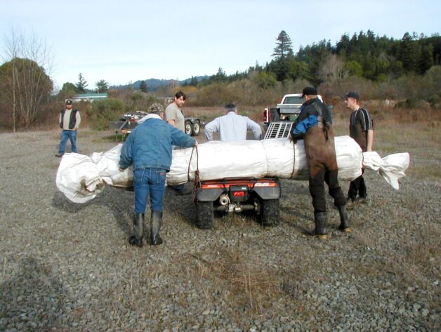 Carlotta, CA 2004 – Levee