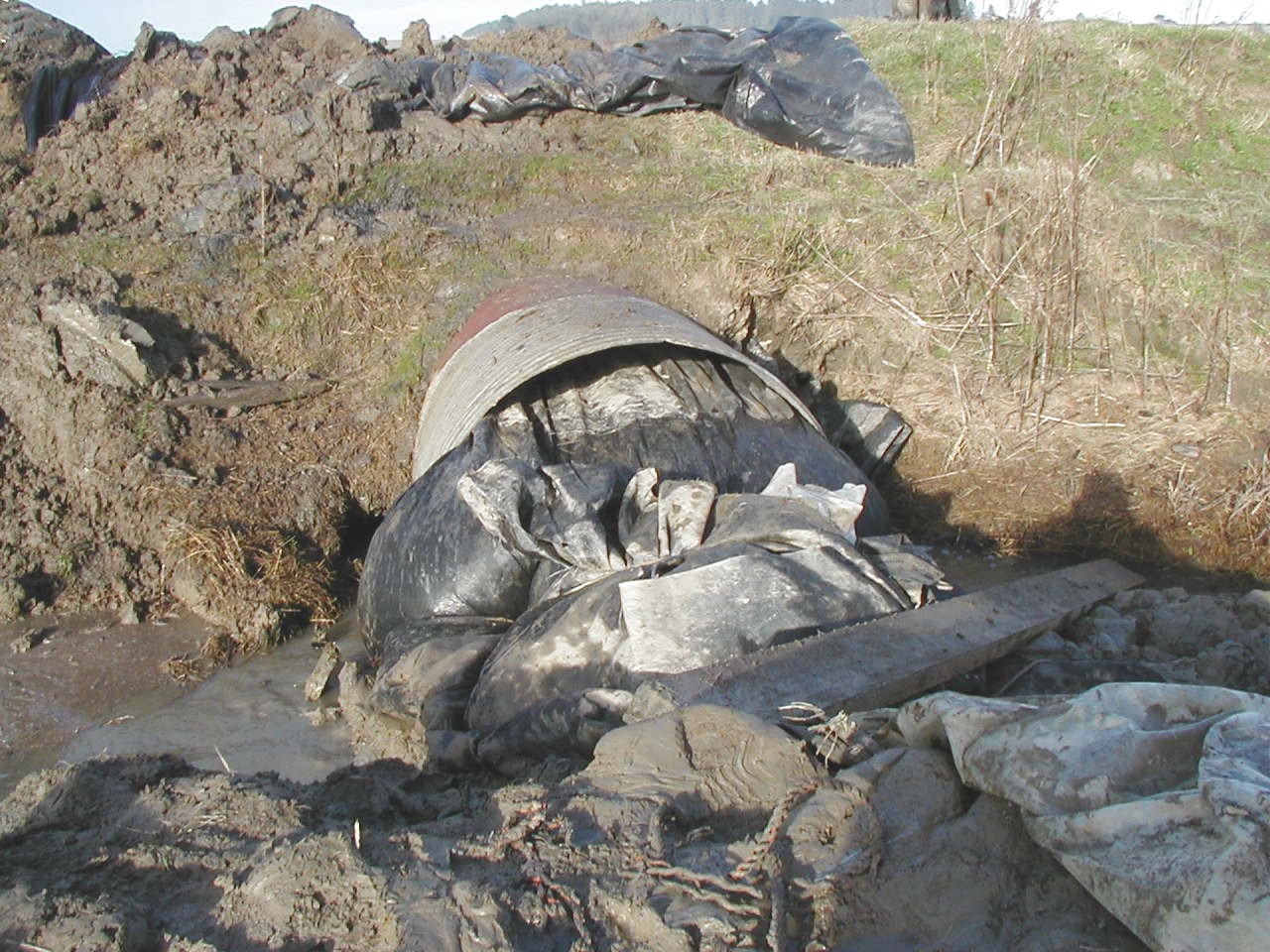 Ferndale, CA 2003
