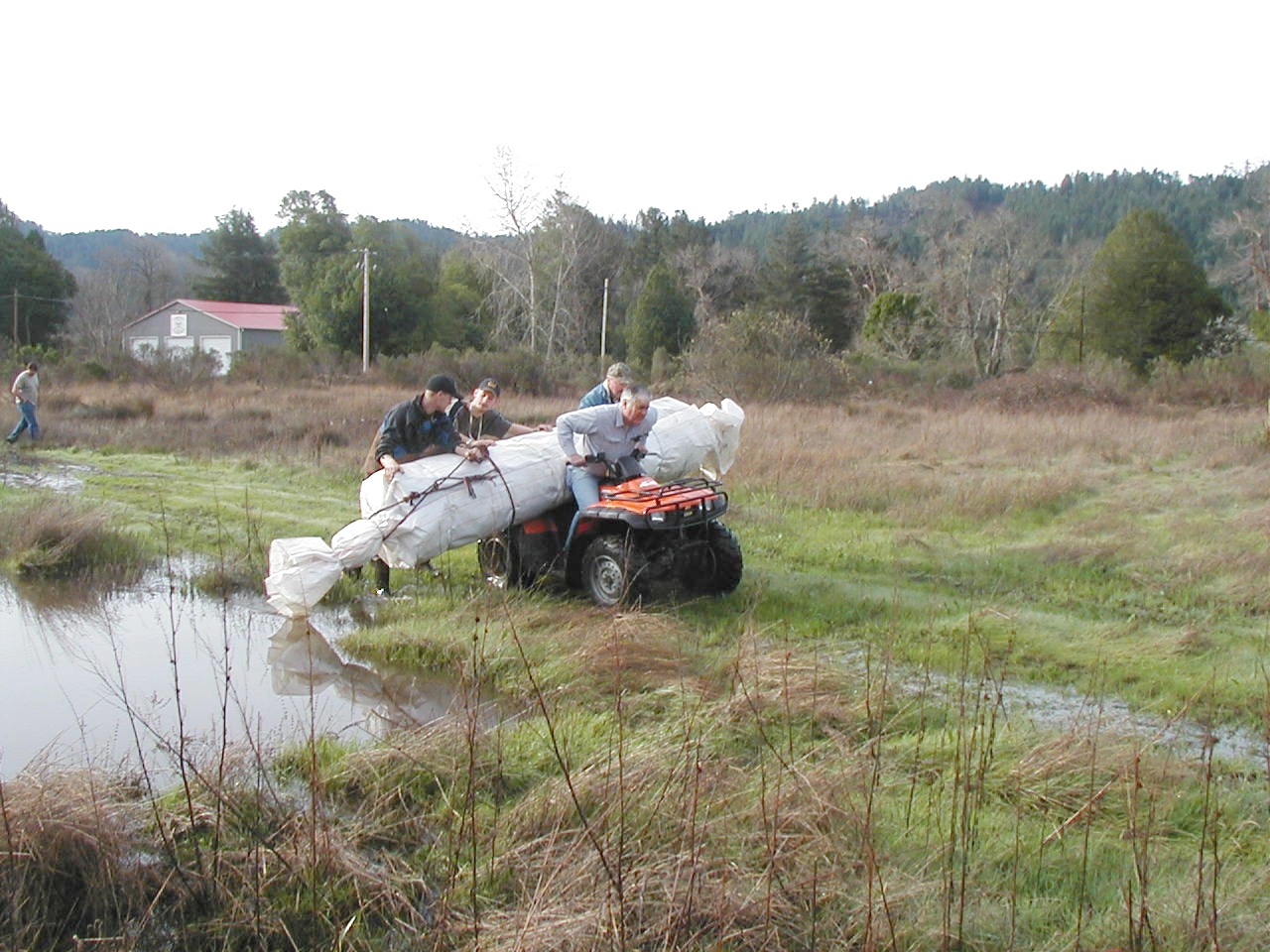 Carlotta, CA 2004 – Levee