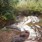 Carlotta, CA 2004 – Fish Ladder