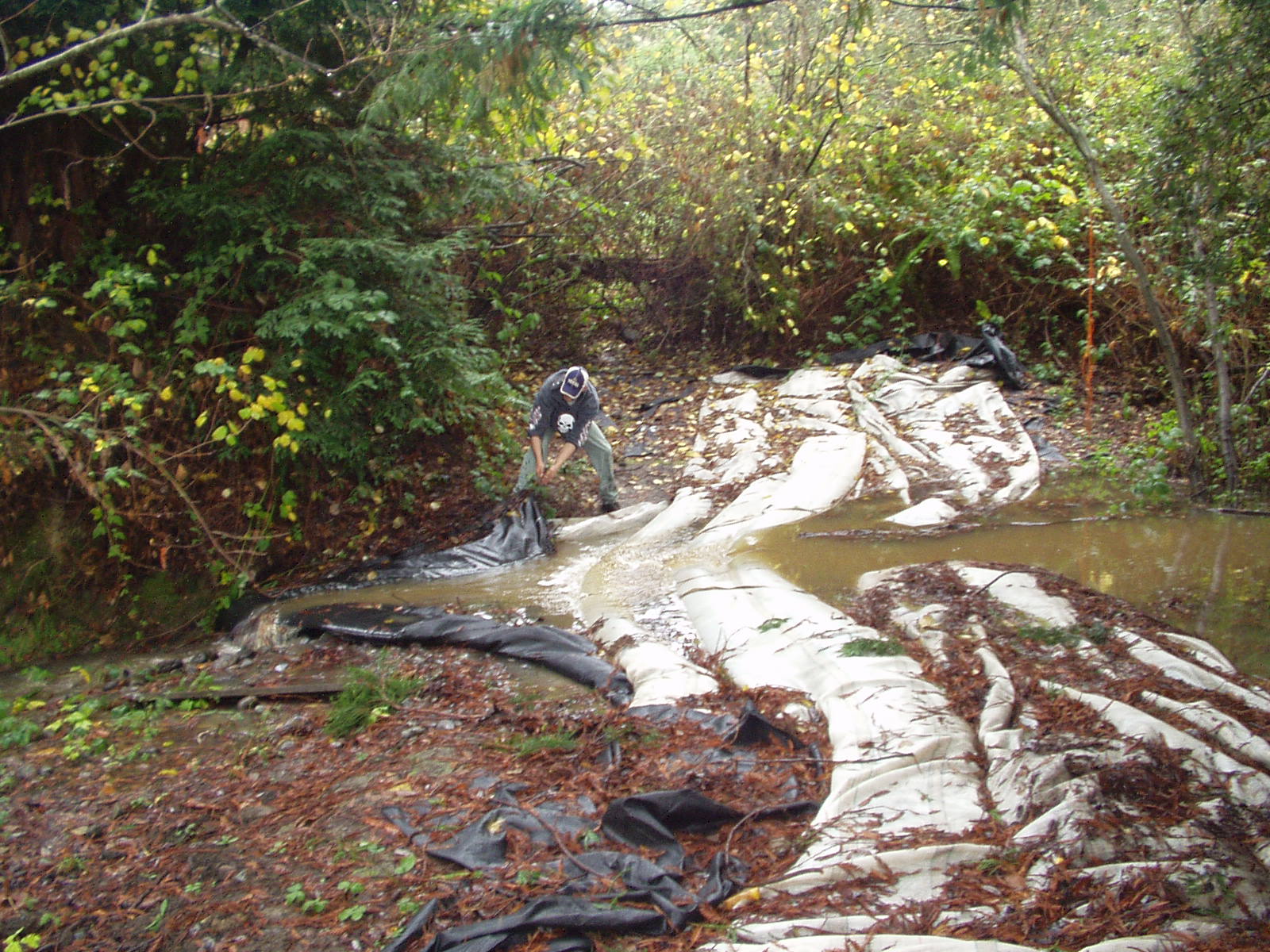 Carlotta, CA 2004 – Fish Ladder