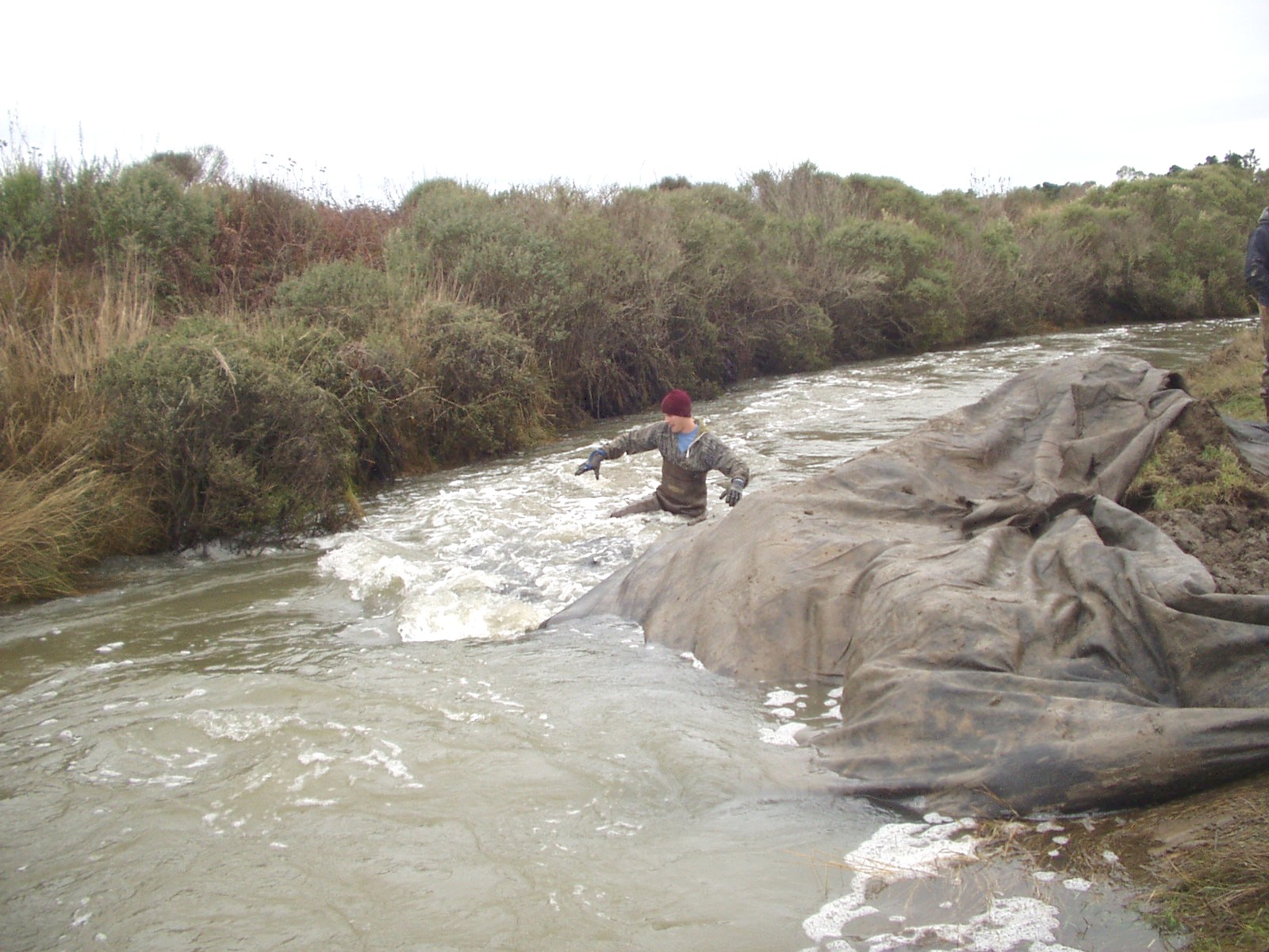 Arcata, CA 2004