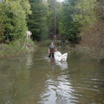 Carlotta, CA 2004 – Levee