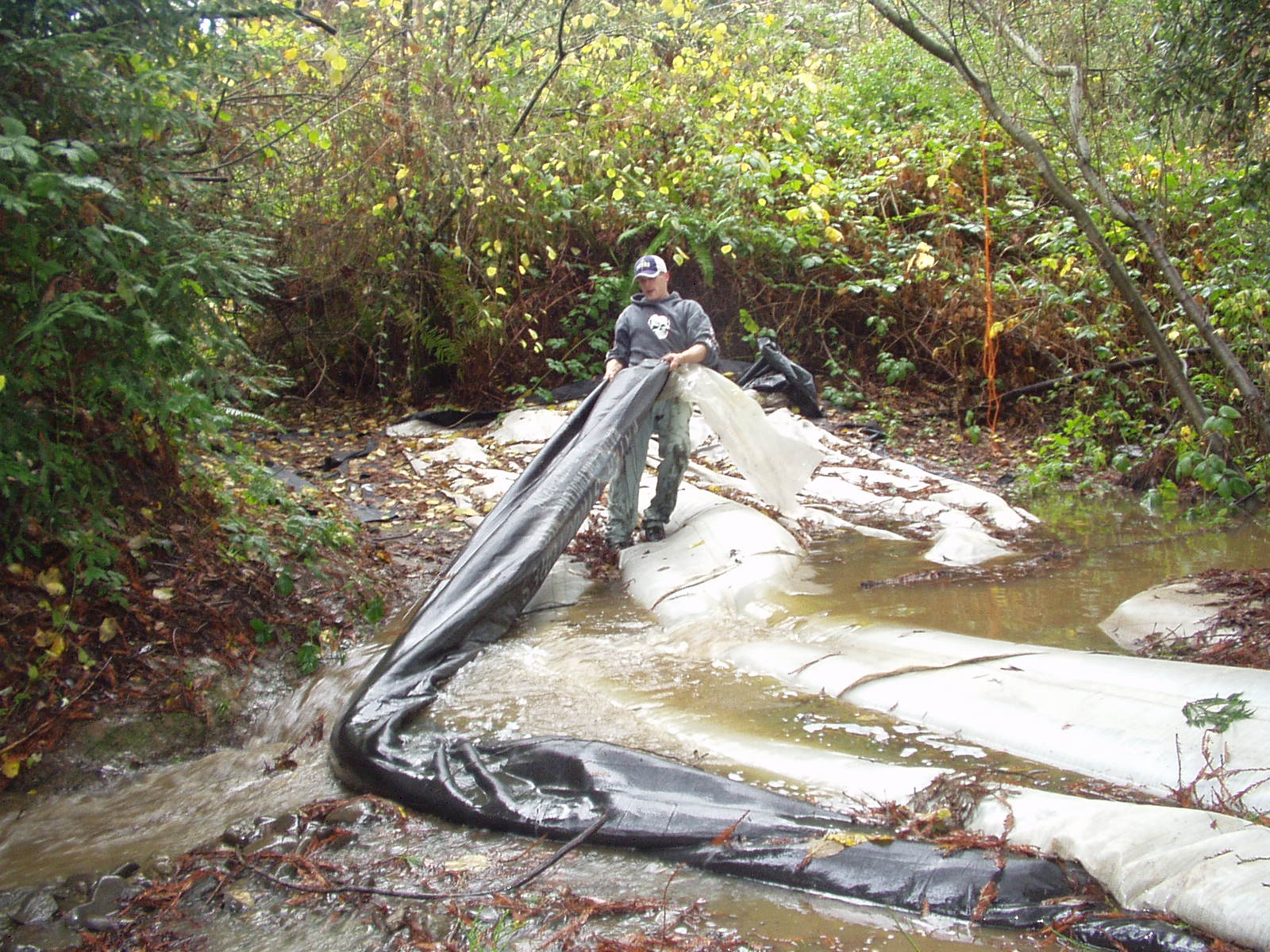 Carlotta, CA 2004 – Fish Ladder