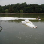 Queens, NY 2002