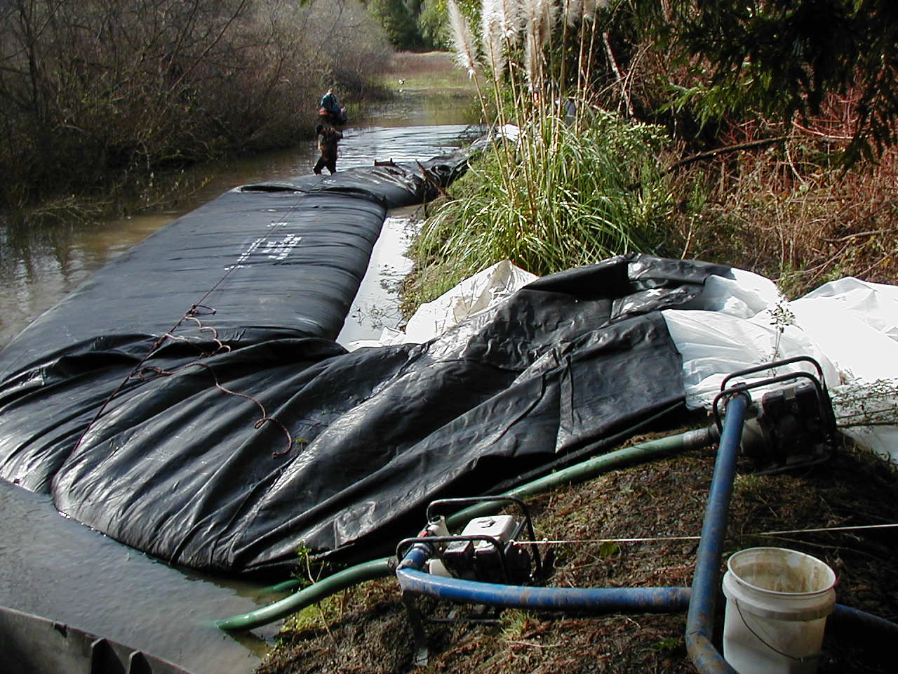 Carlotta, CA 2004 – Levee