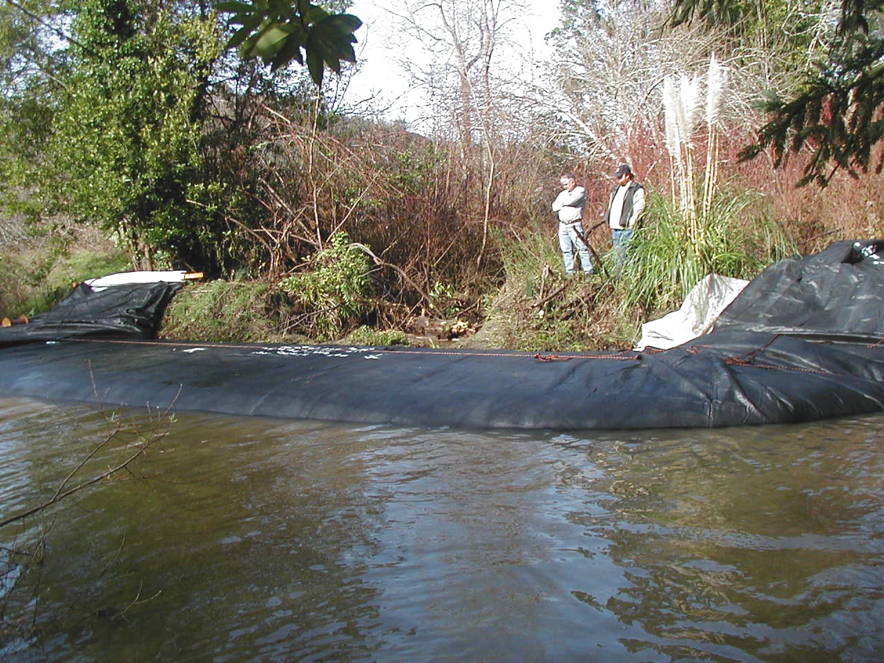 Carlotta, CA 2004 – Levee