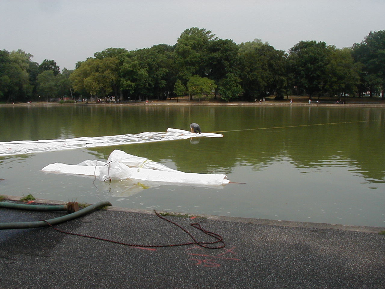 Queens, NY 2002