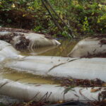 Carlotta, CA 2004 – Fish Ladder