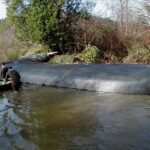 Carlotta, CA 2004 – Levee
