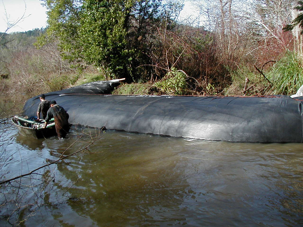 Carlotta, CA 2004 – Levee