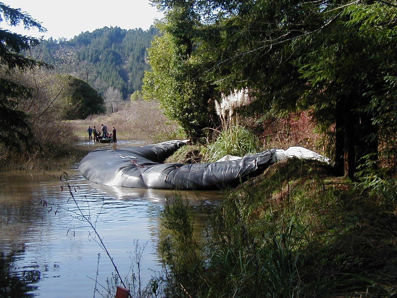 Carlotta, CA 2004 – Levee