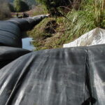 Carlotta, CA 2004 – Levee