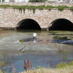 Gilroy, CA 2002
