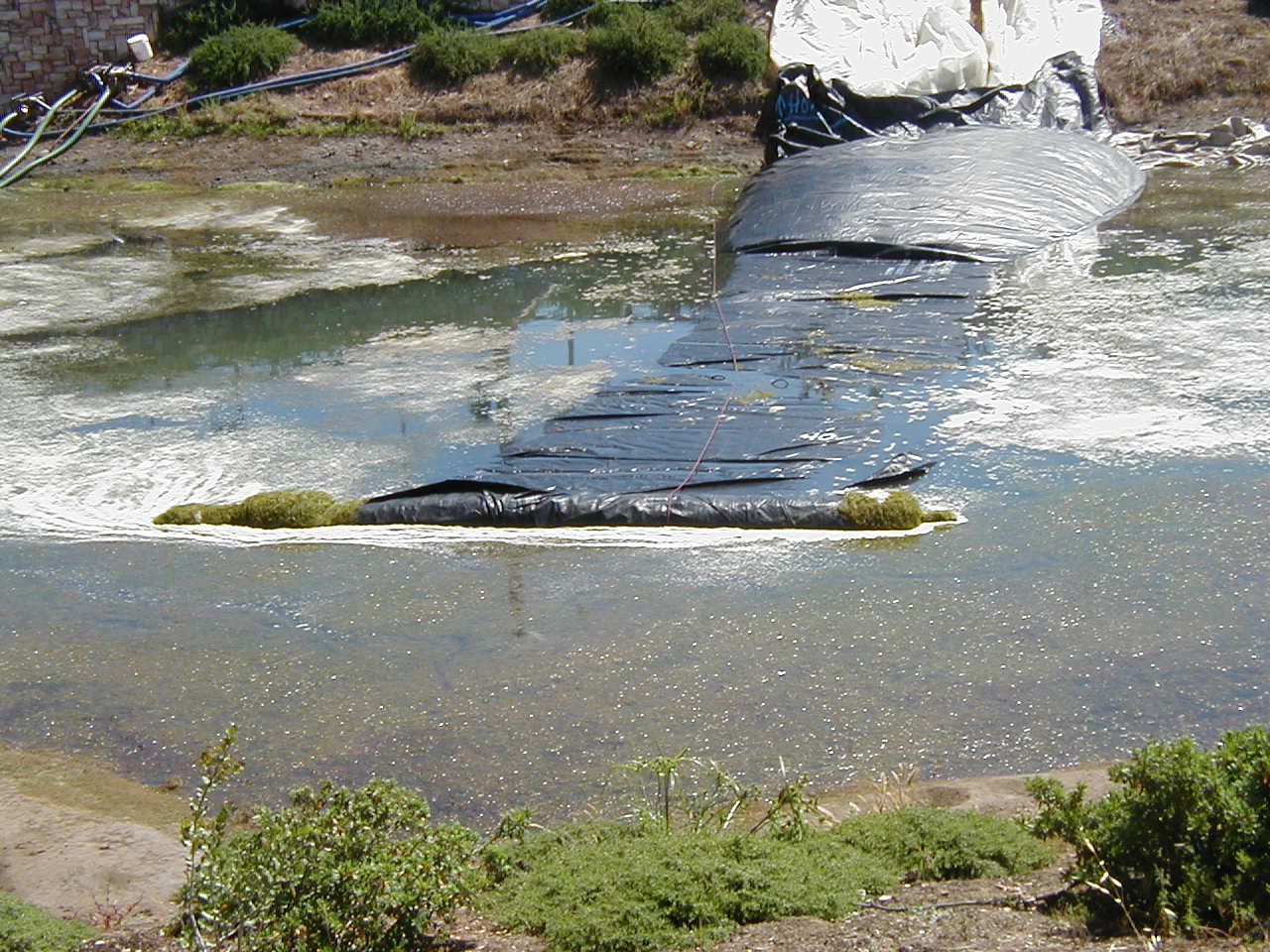 Gilroy, CA 2002
