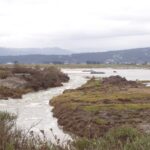 Arcata, CA 2004