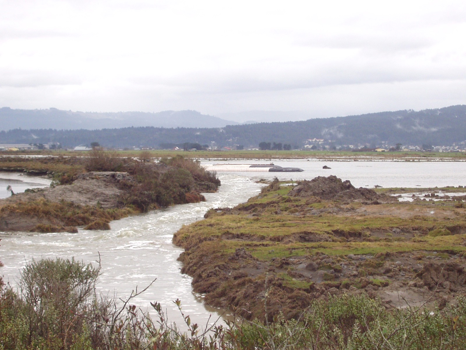 Arcata, CA 2004