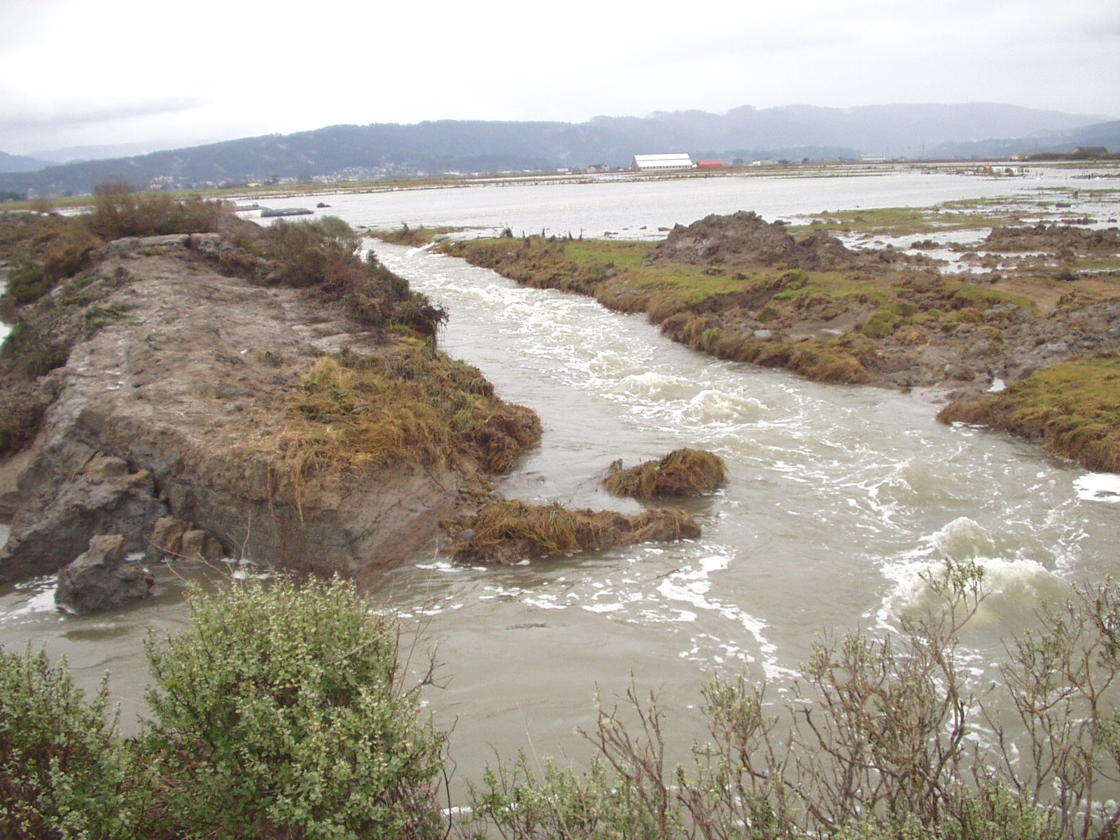Arcata, CA 2004