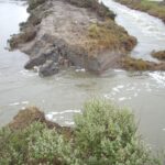 Arcata, CA 2004
