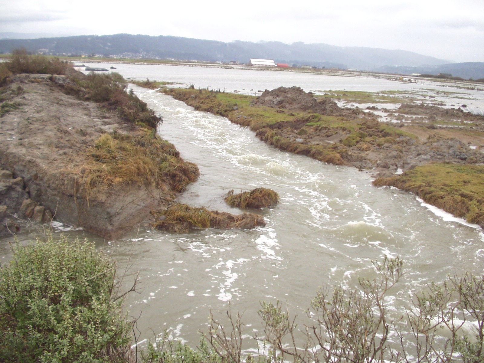 Arcata, CA 2004