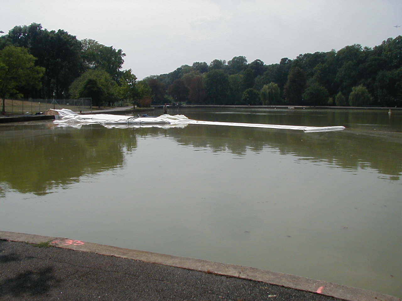 Queens, NY 2002