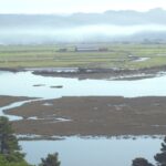 Arcata, CA 2004