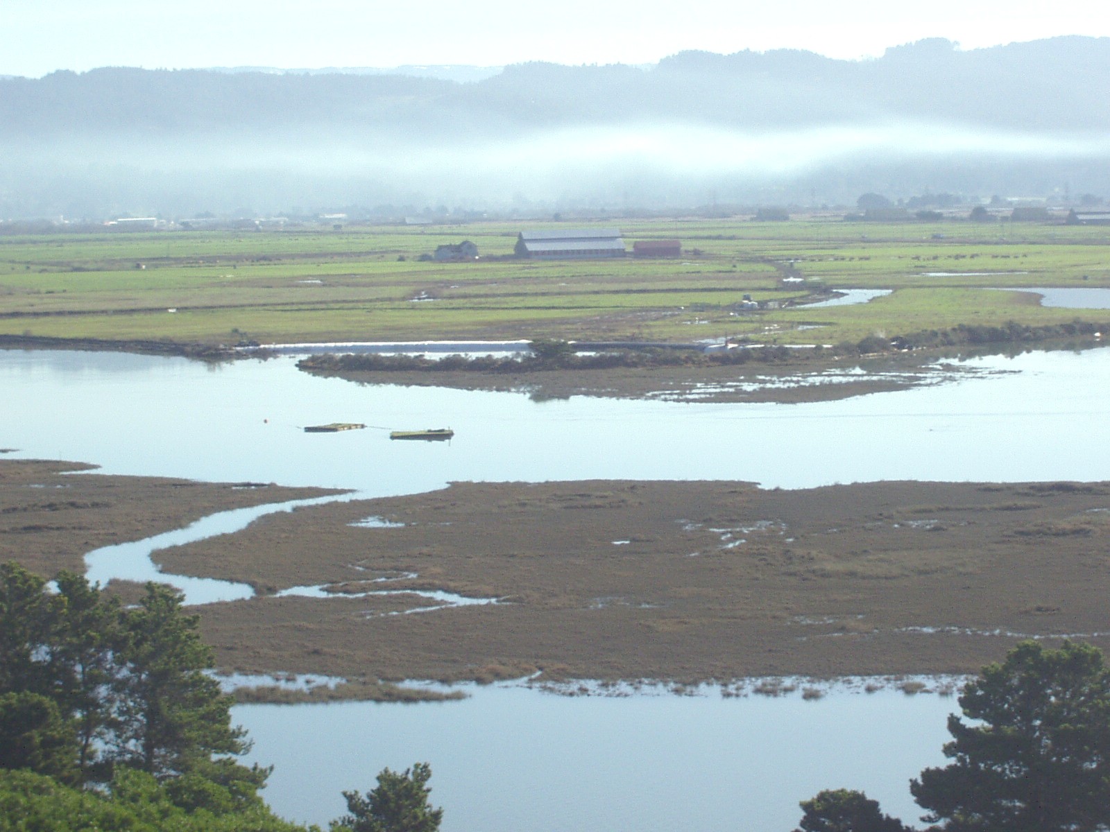 Arcata, CA 2004