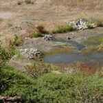 Gilroy, CA 2002