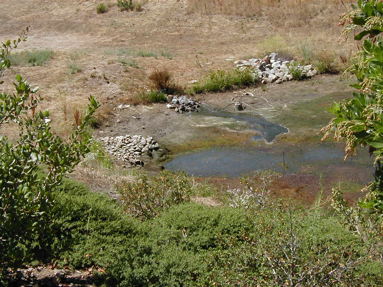 Gilroy, CA 2002