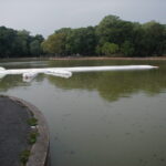 Queens, NY 2002
