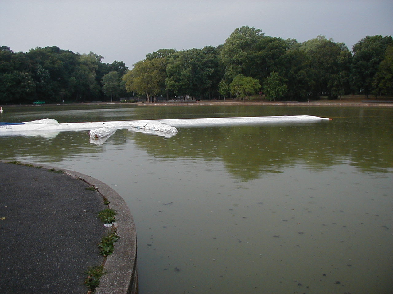 Queens, NY 2002