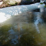 Medford, OR 2002