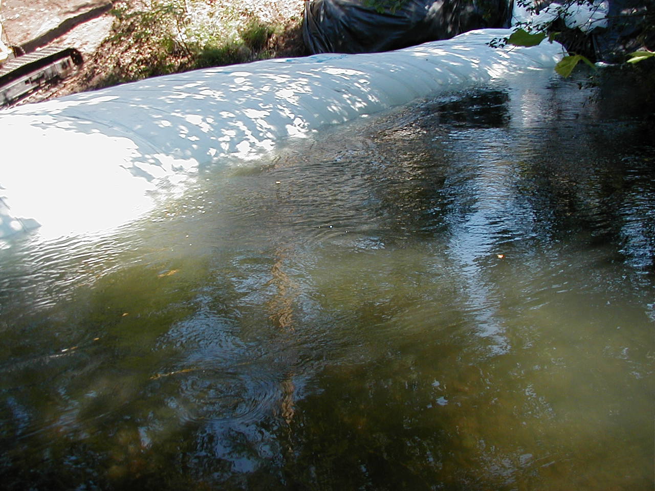 Medford, OR 2002