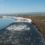 Arcata, CA 2004