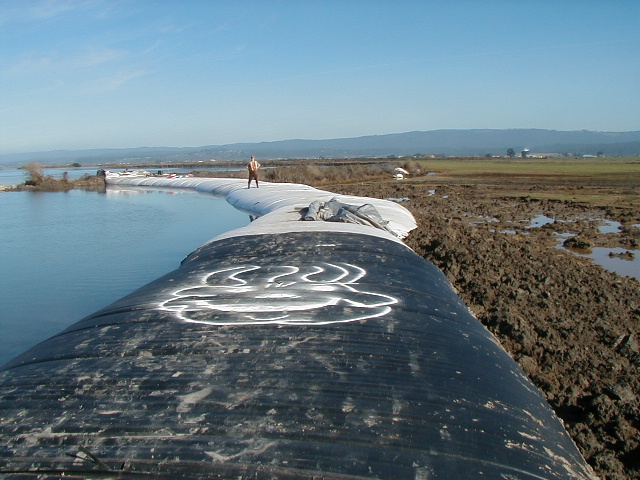Arcata, CA 2004
