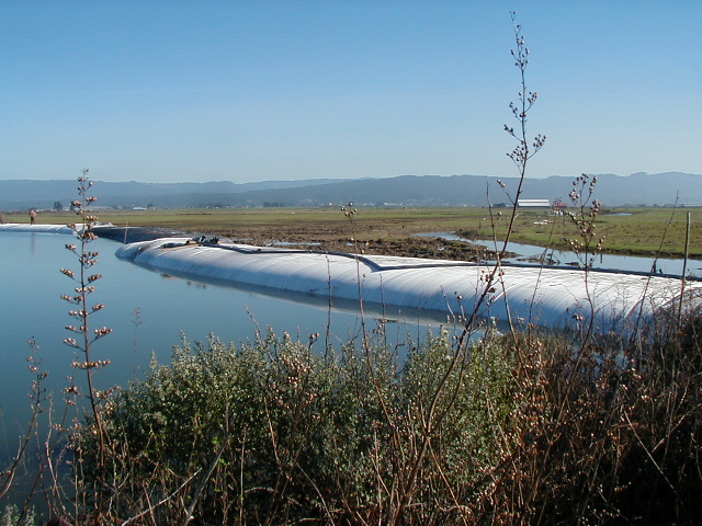 Arcata, CA 2004