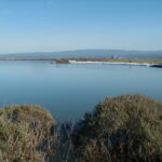 Arcata, CA 2004