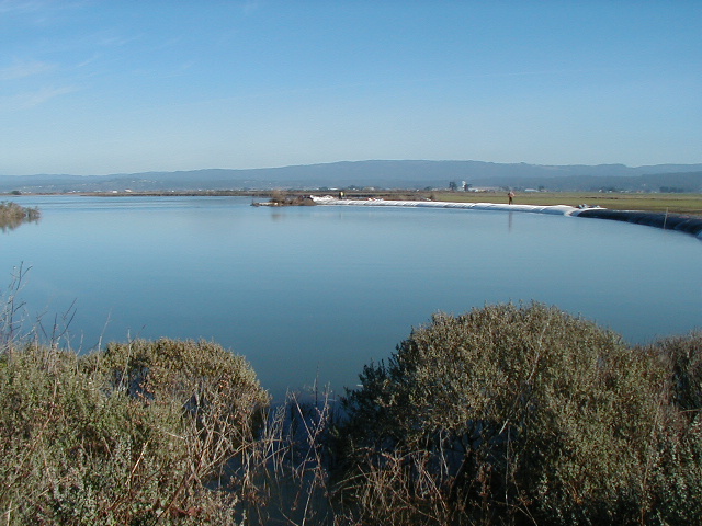 Arcata, CA 2004