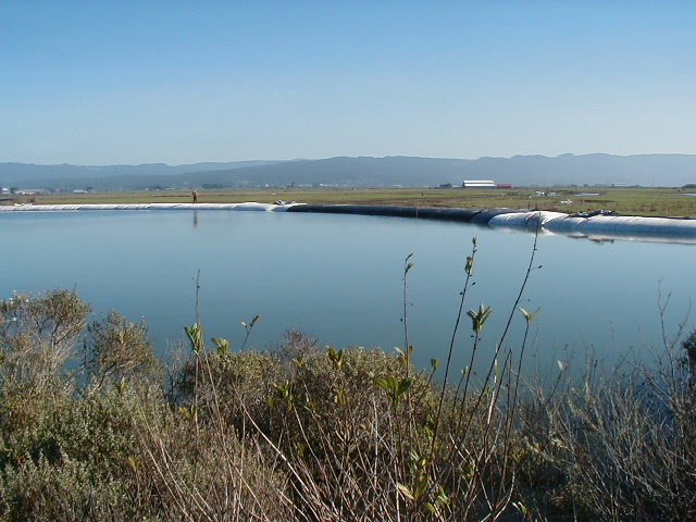 Arcata, CA 2004