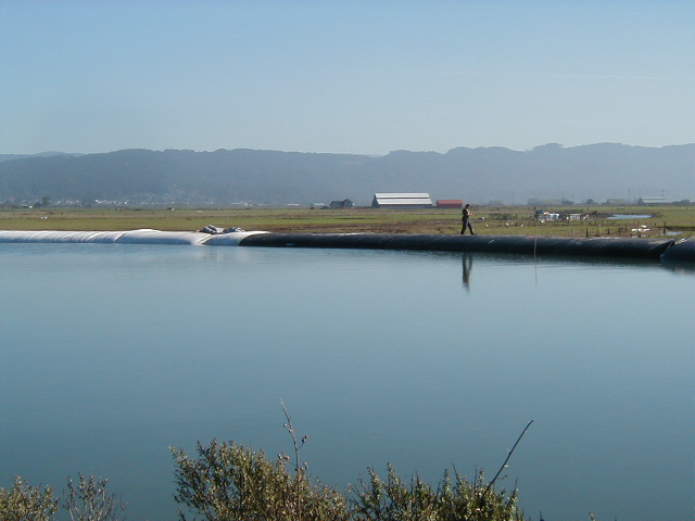 Arcata, CA 2004