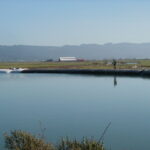 Arcata, CA 2004